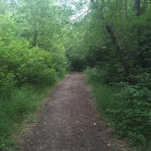 Meet your Posher, Kimberley